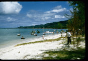 Saipan 1956 Collection, No. 36 Beach Scene 